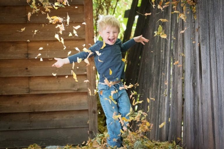 Autumn Fence Maintenance Tips