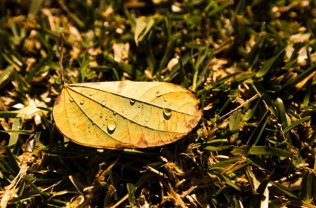 Benefits of Autumn Fence Installation