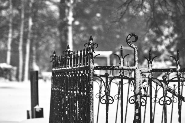 All you need to know about iron fences and winter