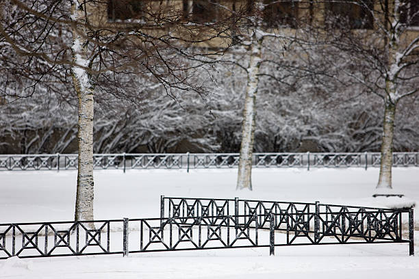 All you need to know about iron fences and winter