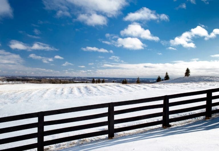Myths About Installing a Fence During Winter