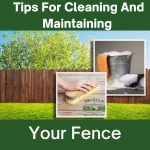 Tips For Cleaning And Maintaining