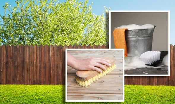 Tips For Cleaning And Maintaining Your fence