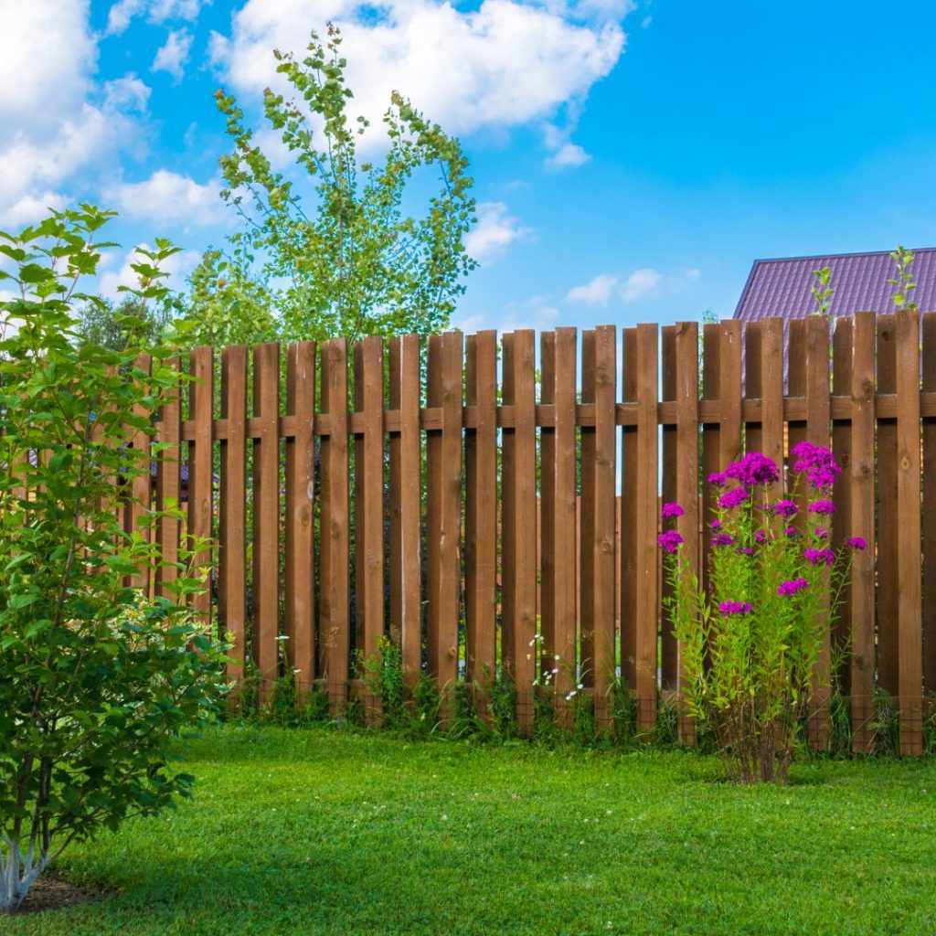 tips-for-effective-cleaning-of-a-wooden-fence-a-wooden-fence