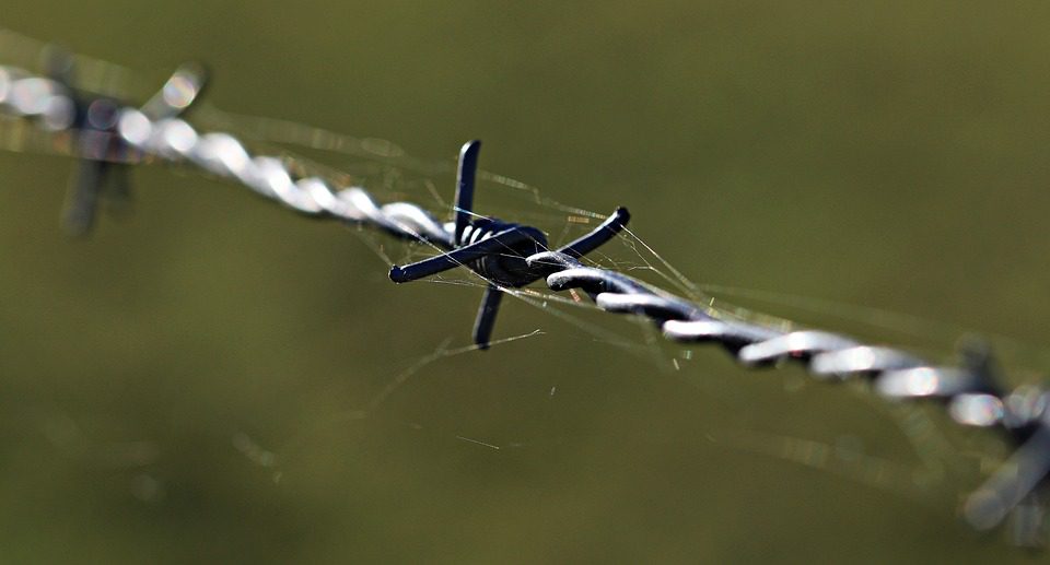 barbed-wire-1785533_960_720-jpg