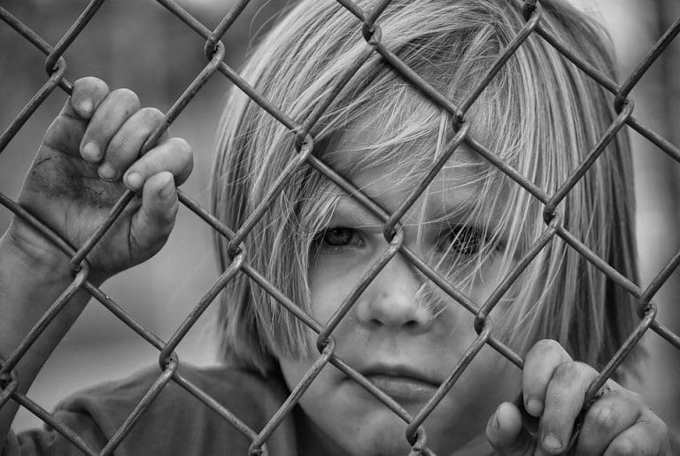 The Evolution of Fence Design: From Functional to Fashionable