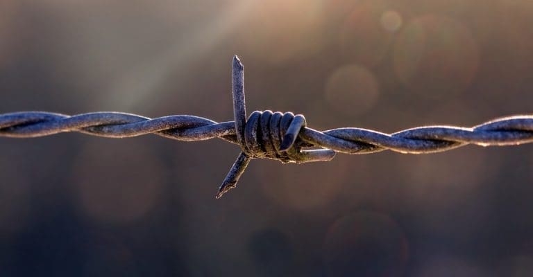 Examining the Impact of Security Fences: Keeping Communities Safe