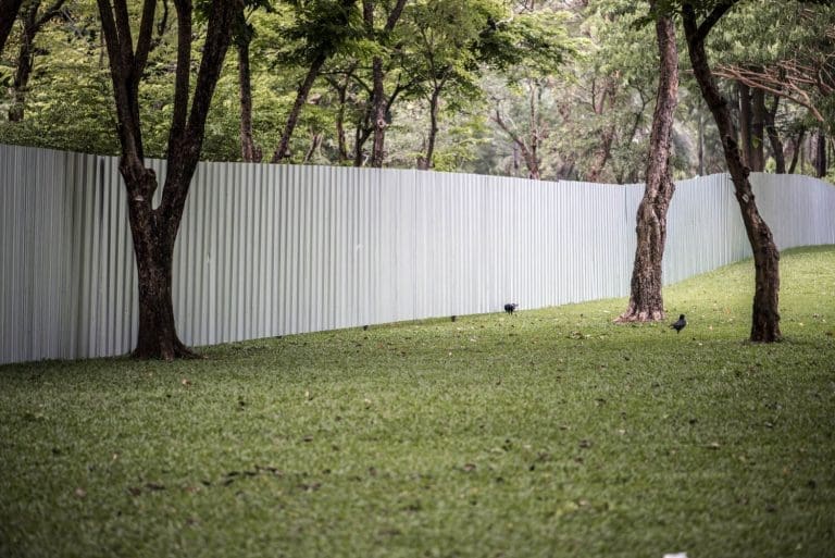 Why Vinyl Fences are the Hottest Trend in Home Landscaping