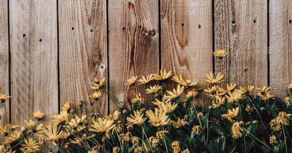 strong timber perimeter ensuring security