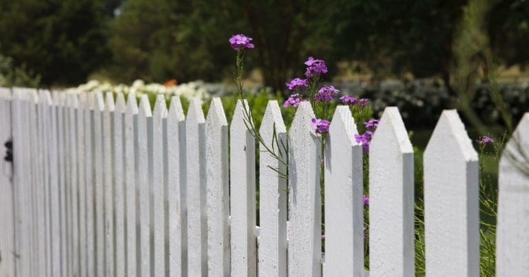 sturdy lumber fencing fortifies homes