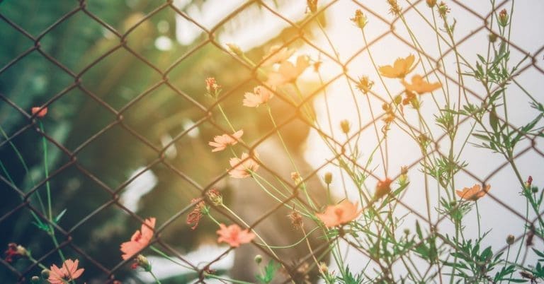 the versatile woven wire fence