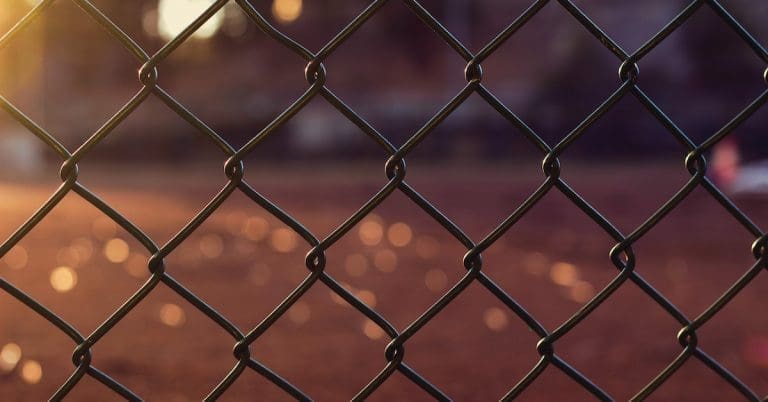 ultimate guide to wire mesh fencing