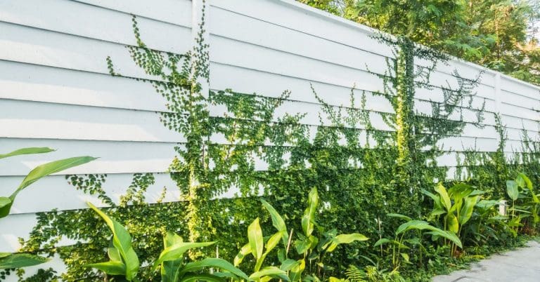 sturdy plastic fence solutions