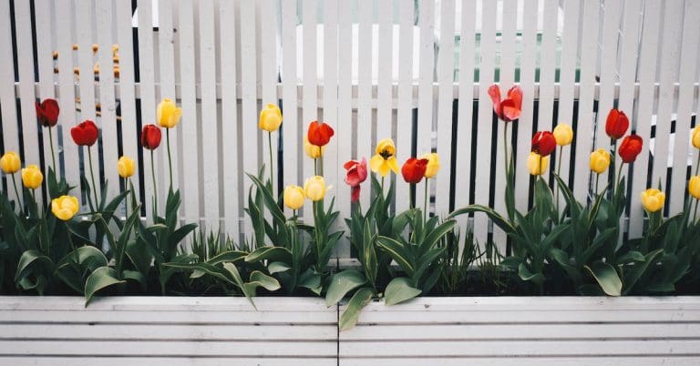 versatile and durable plastic fences