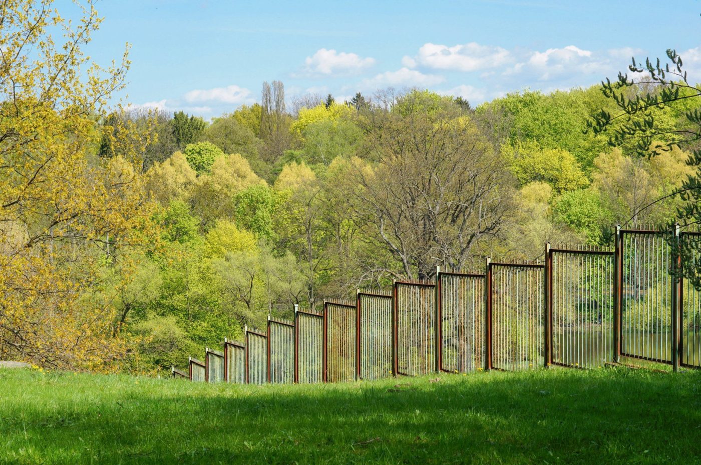 metal-fence-in-the-garden-with-trees-in-the-background