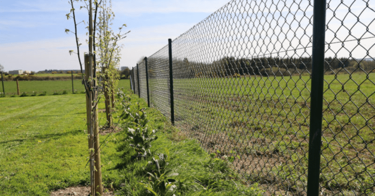 benefits-of-chain-link-fencing-for-agriculture