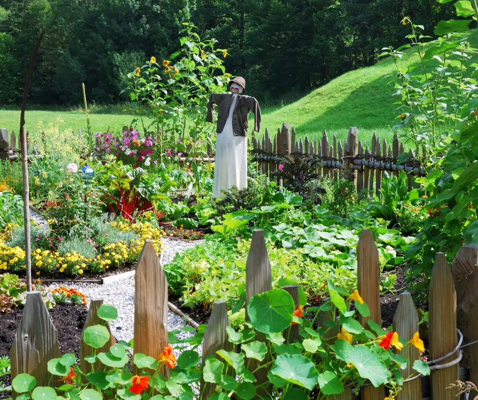 effective-irrigation-strategies-for-your-garden