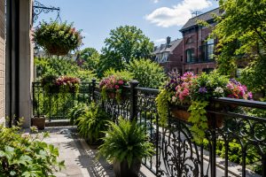 Wrought Iron Balcony Railings with beautiful balcony garden